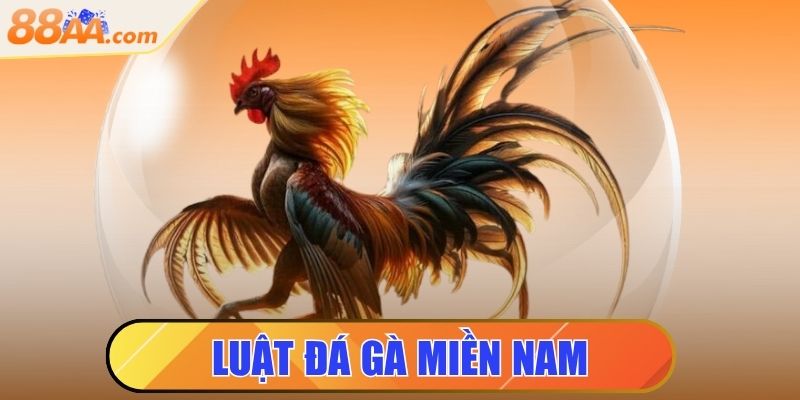 luật đá gà miền nam